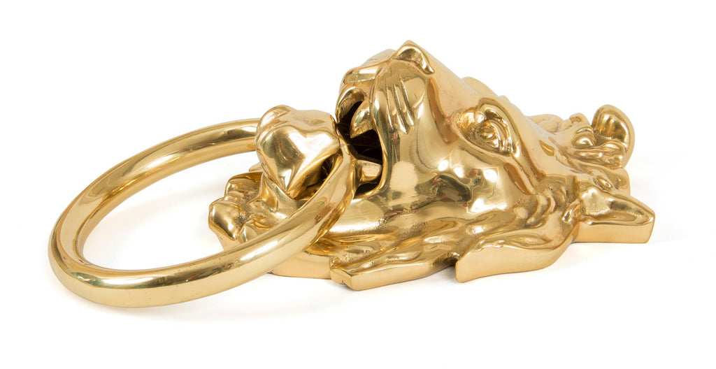 From The Anvil's Polished Brass Lion's Head Door Knocker