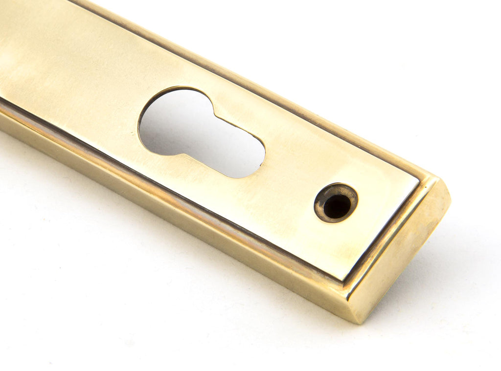 From The Anvil's Aged Brass Reeded Slimline Lever Espag. Lock Set