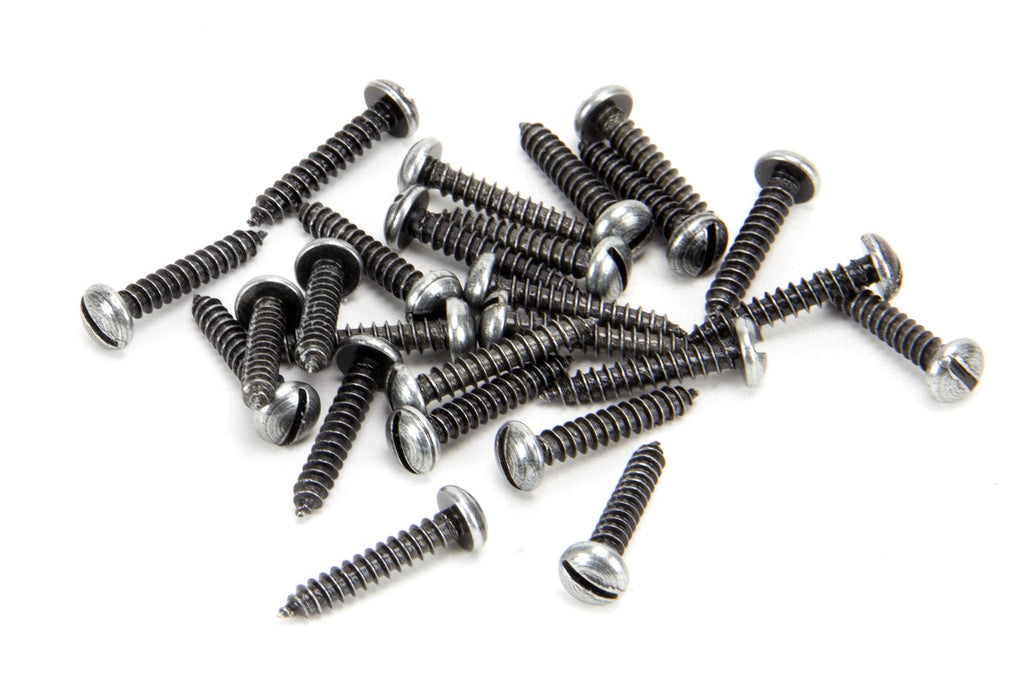 From The Anvil's Pewter Patina Round Head Screws (25)