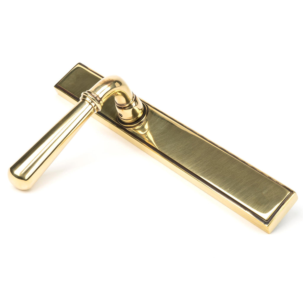 From The Anvil's Aged Brass Newbury Slimline Lever Espag. Latch Set