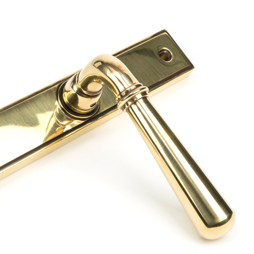 From The Anvil's Aged Brass Newbury Slimline Lever Espag. Latch Set