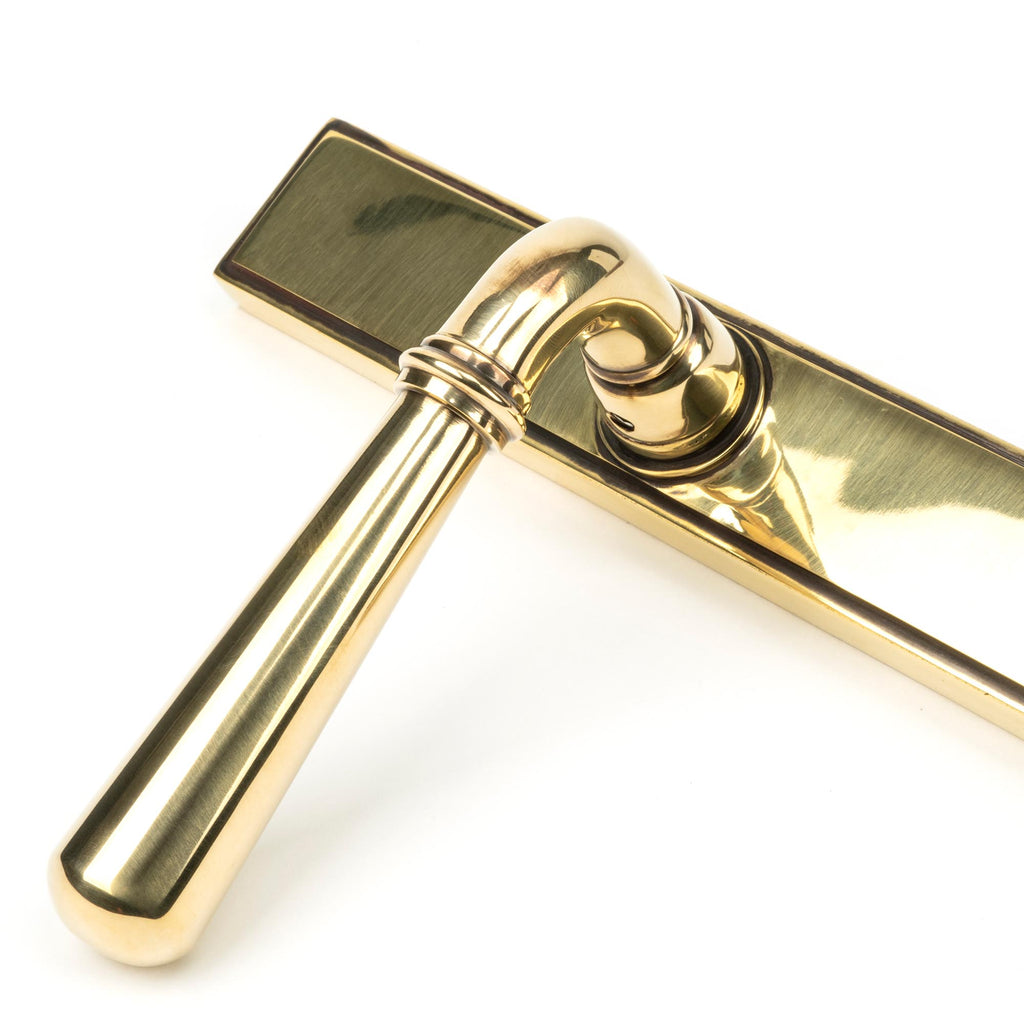 From The Anvil's Aged Brass Newbury Slimline Lever Espag. Latch Set