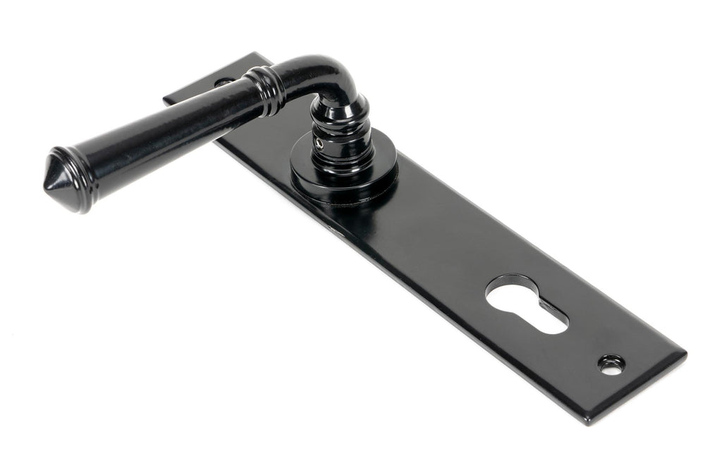 From The Anvil's Black Regency Lever Espag. Lock Set