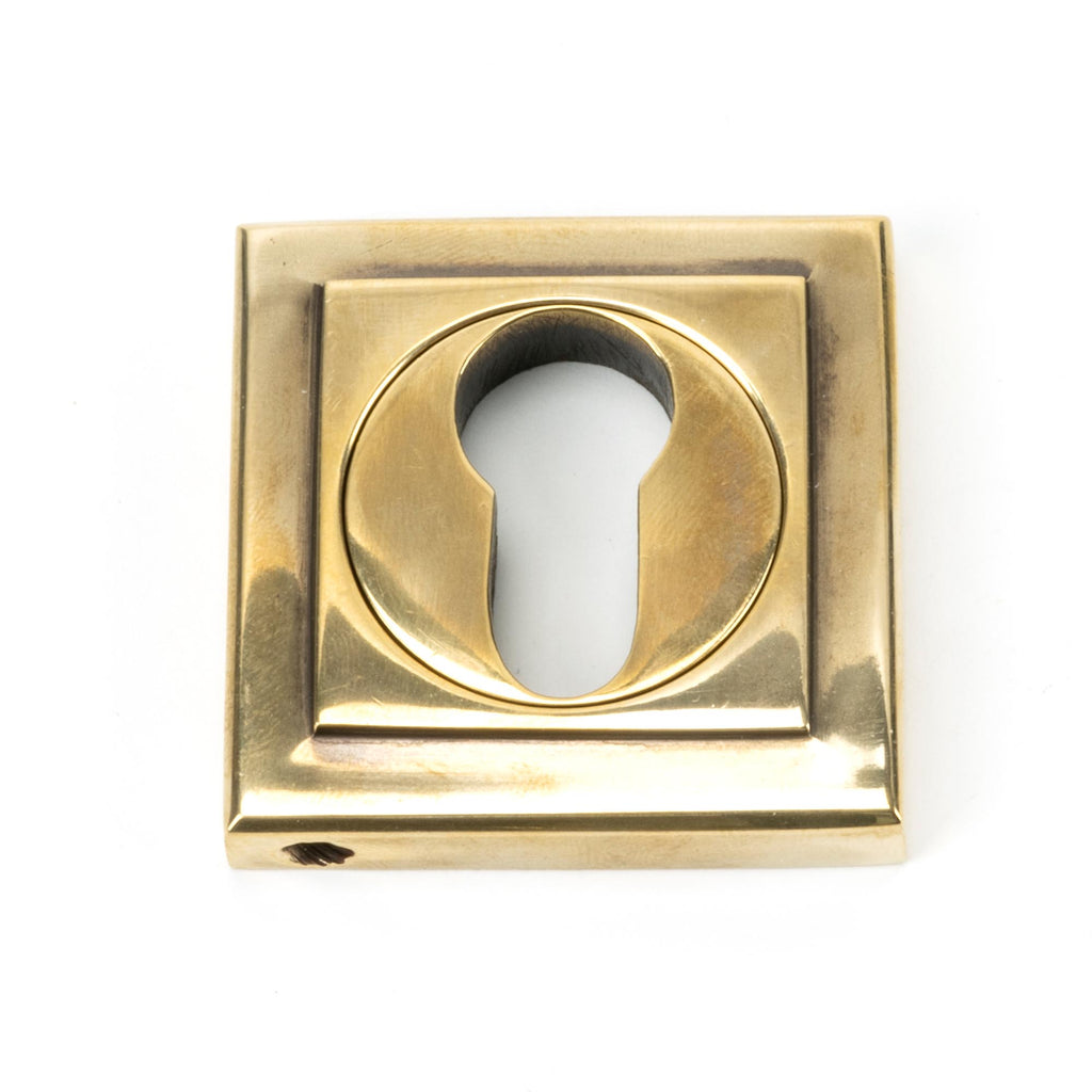 From The Anvil's Aged Brass Round Euro Escutcheon