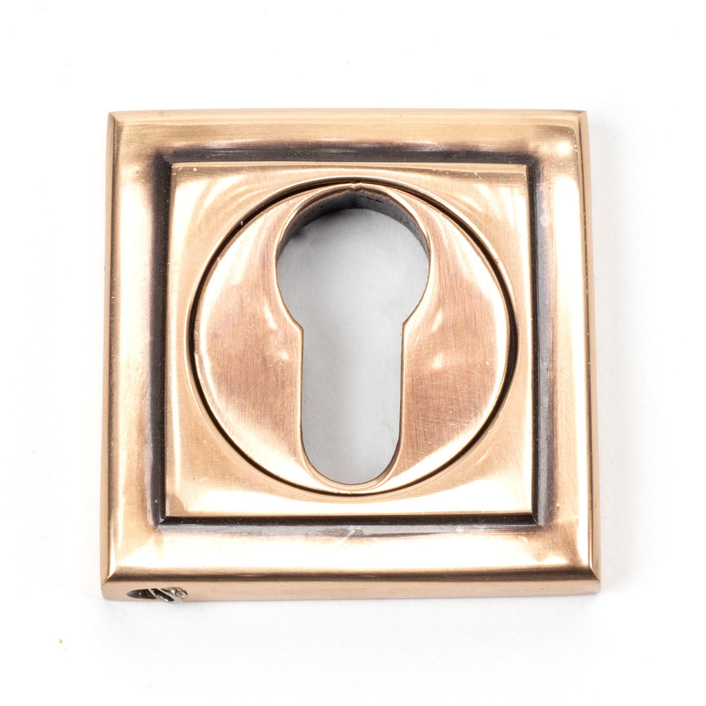 From The Anvil's Polished Bronze Round Euro Escutcheon