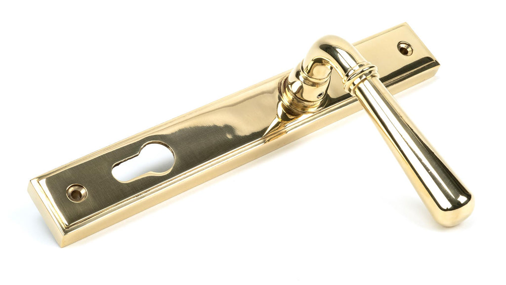 From The Anvil's Polished Brass Newbury Slimline Lever Espag. Lock Set