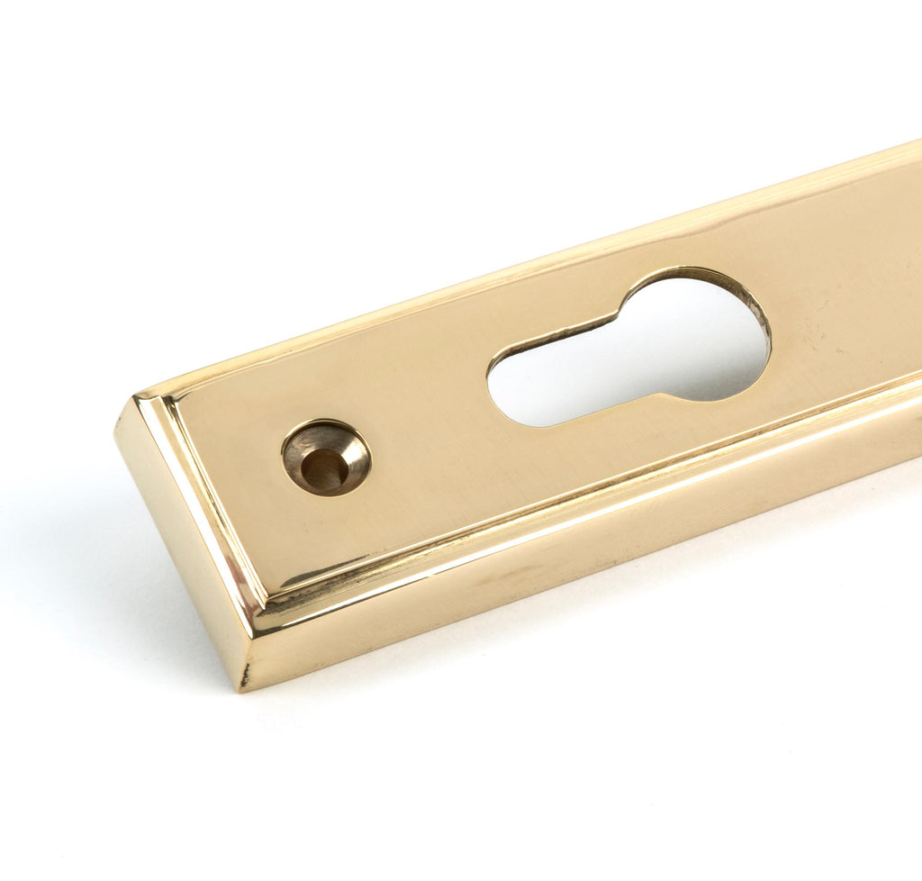 From The Anvil's Polished Brass Hinton Slimline Lever Espag. Lock Set