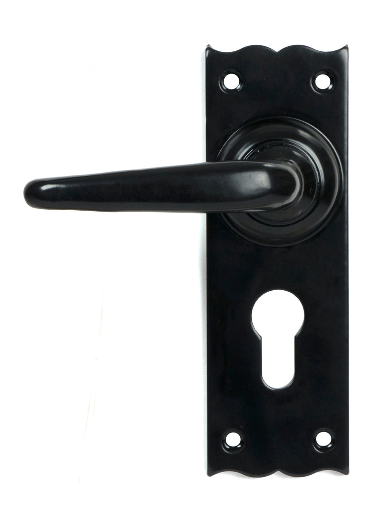 From The Anvil's Black Oak Lever Euro Lock Set