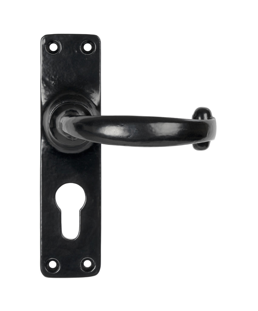 From The Anvil's Black Classic Lever Euro Lock Set