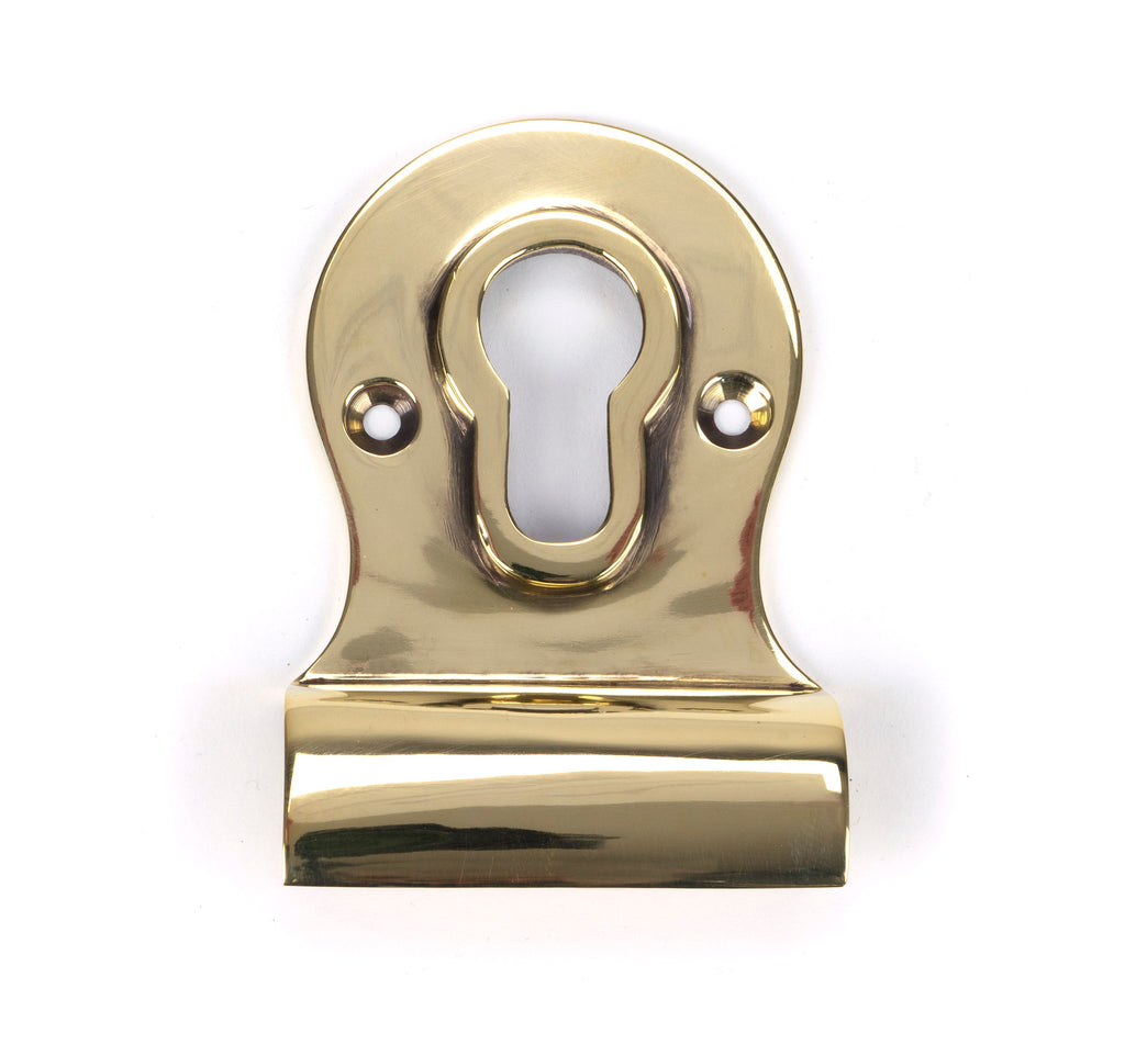 From The Anvil's Aged Brass Euro Door Pull