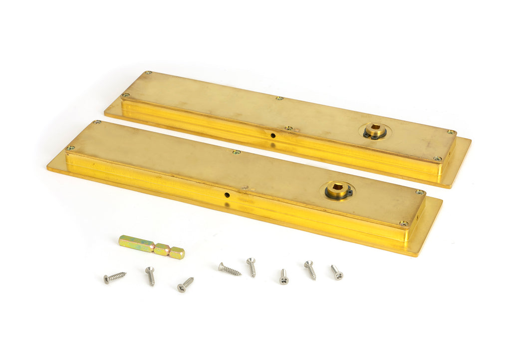 From The Anvil's Polished Brass Plain Rectangular Pull - Privacy Set