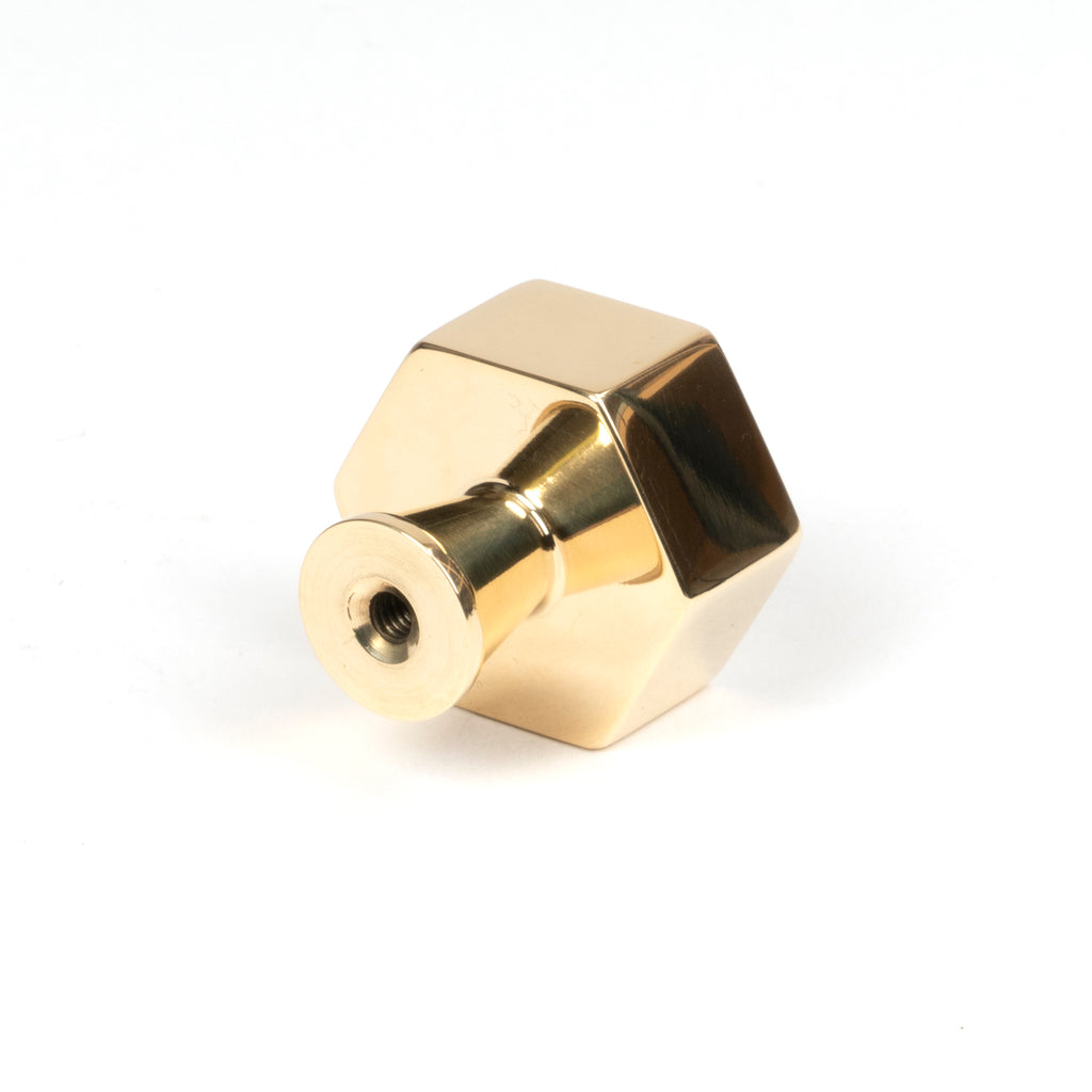 From The Anvil's Polished Brass Kahlo Cabinet Knob