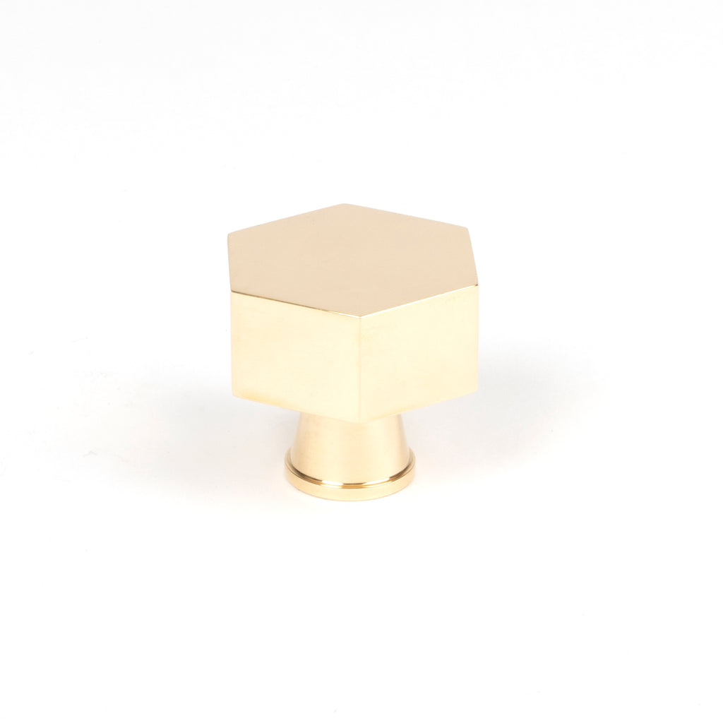 From The Anvil's Polished Brass Kahlo Cabinet Knob