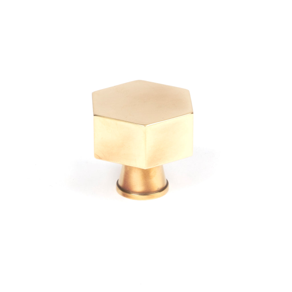 From The Anvil's Aged Brass Kahlo Cabinet Knob