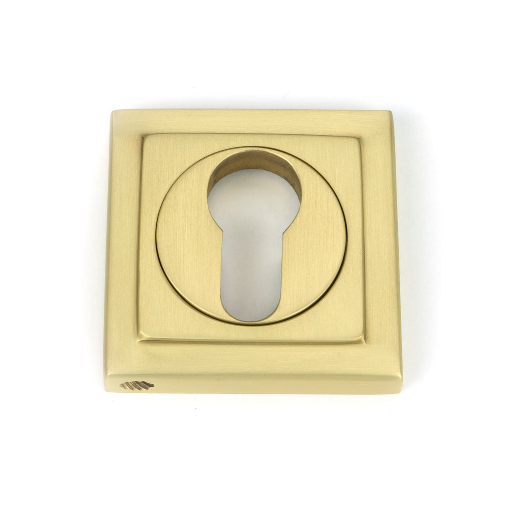 From The Anvil's Satin Brass Round Euro Escutcheon