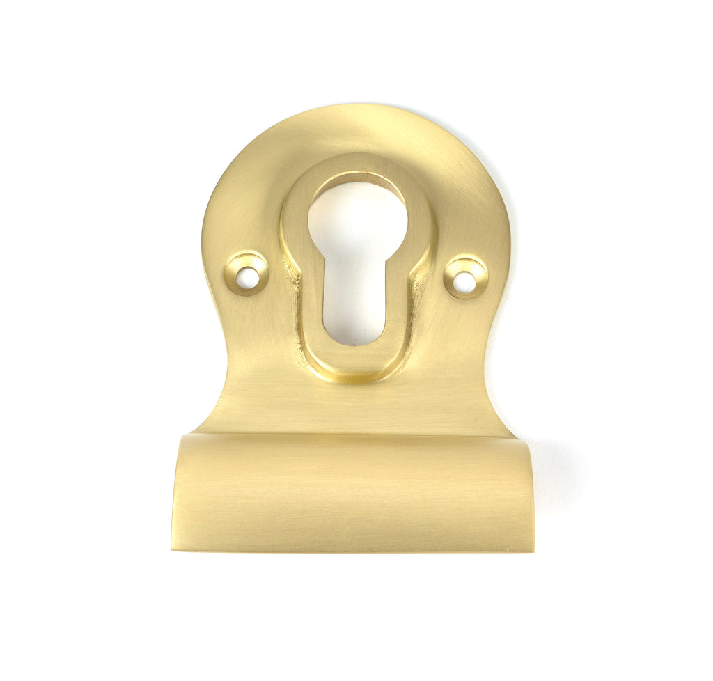 From The Anvil's Satin Brass Euro Door Pull