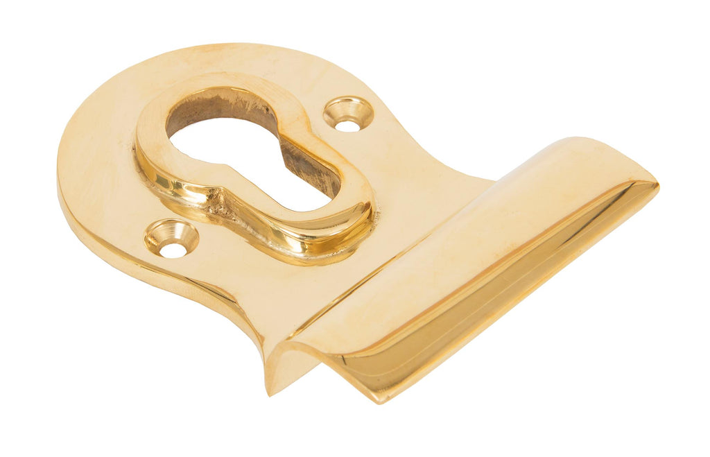 From The Anvil's Polished Brass Euro Door Pull