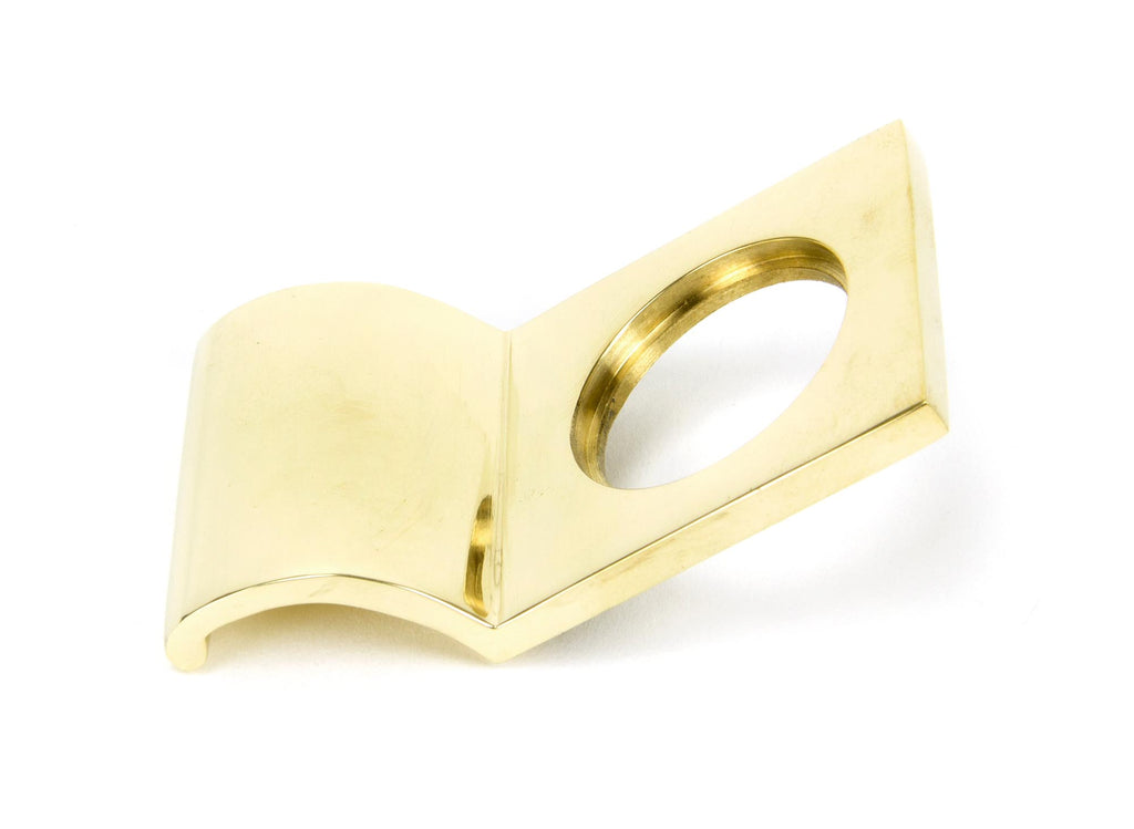 From The Anvil's Polished Brass Rim Cylinder Pull