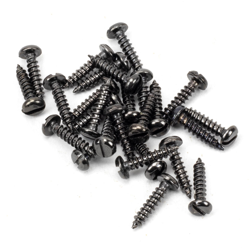 From The Anvil's Dark Stainless Steel Round Head Screws (25)