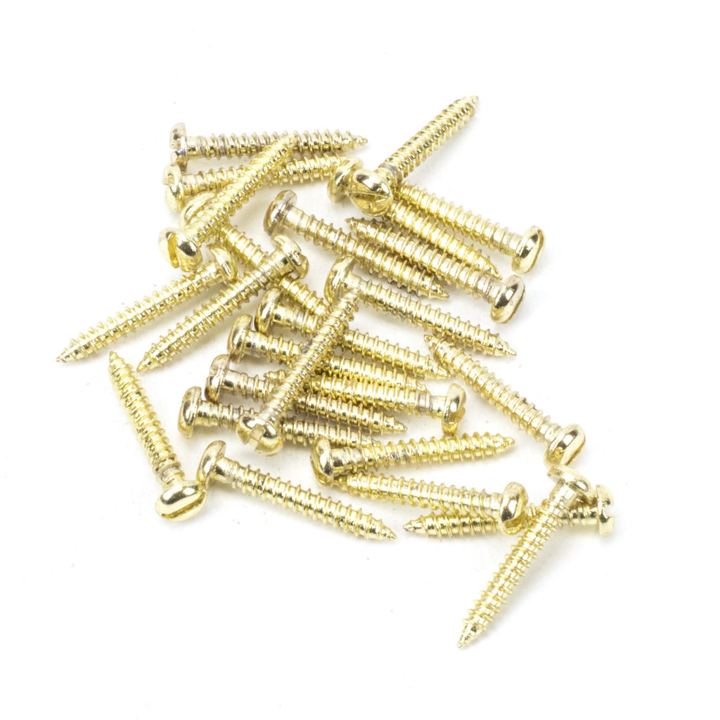 From The Anvil's Polished Brass Round Head Screws (25)