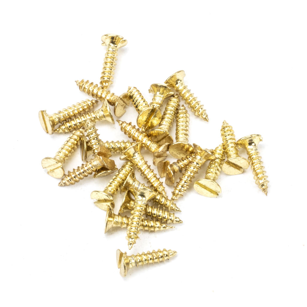 From The Anvil's Polished Brass Countersunk Screws (25)