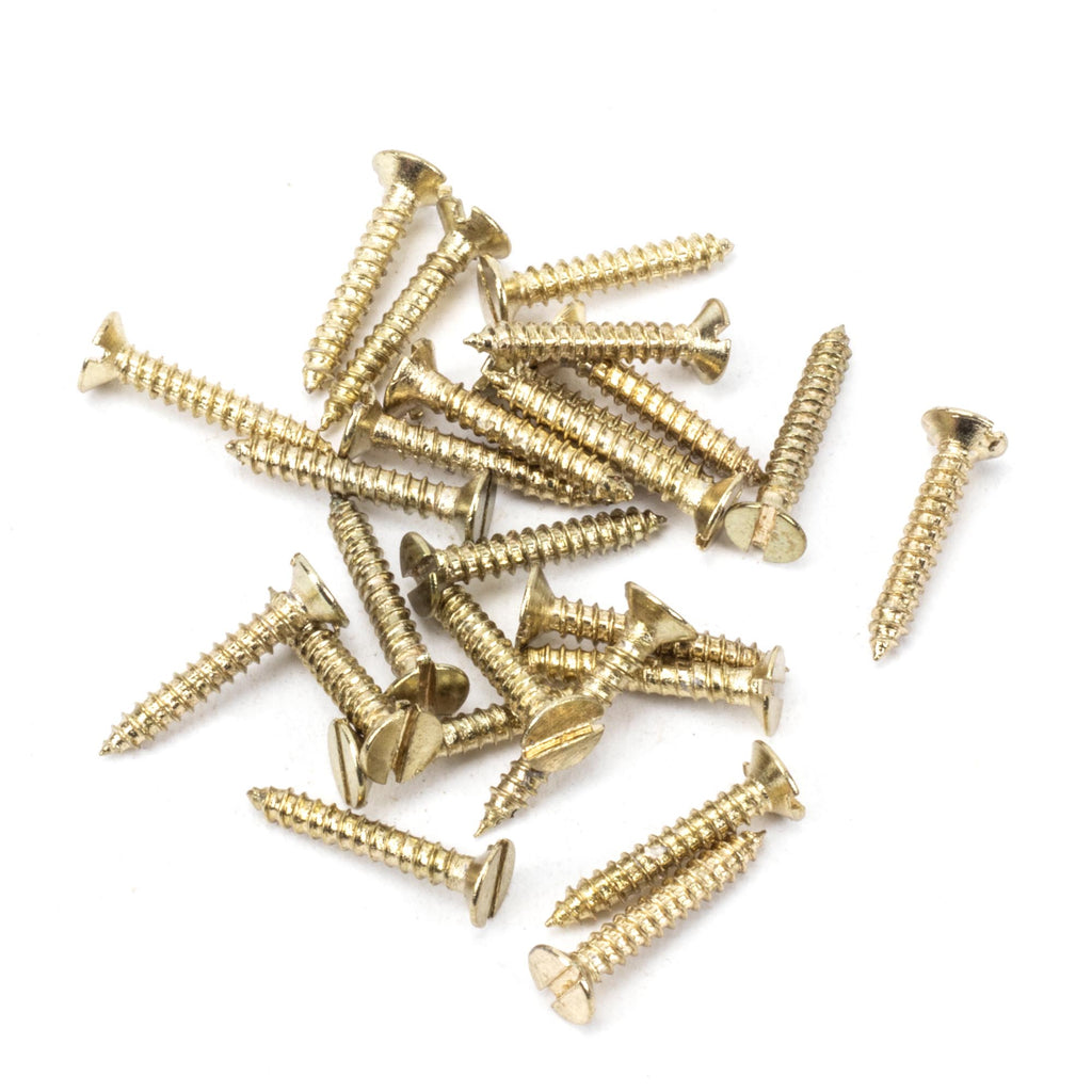 From The Anvil's Polished Brass Countersunk Screws (25)