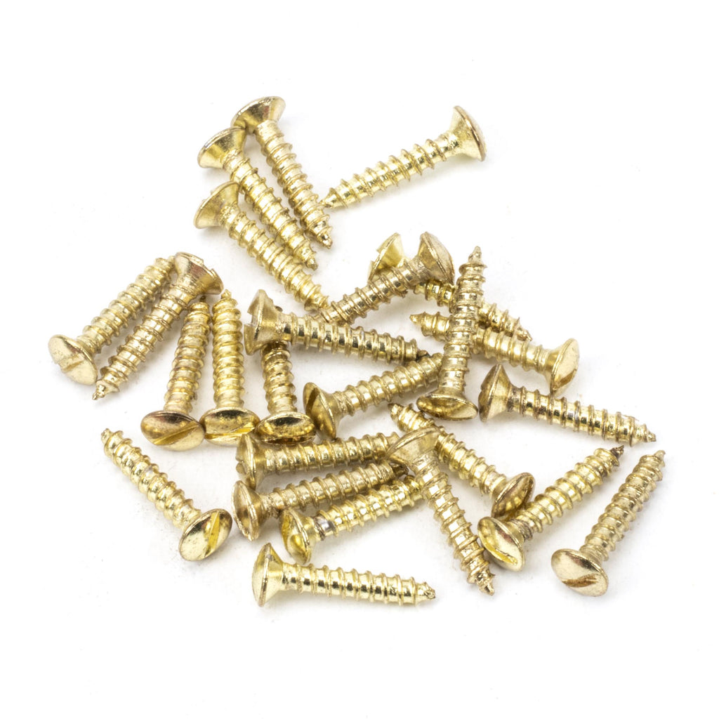 From The Anvil's Polished Brass Countersunk Raised Head Screws (25)