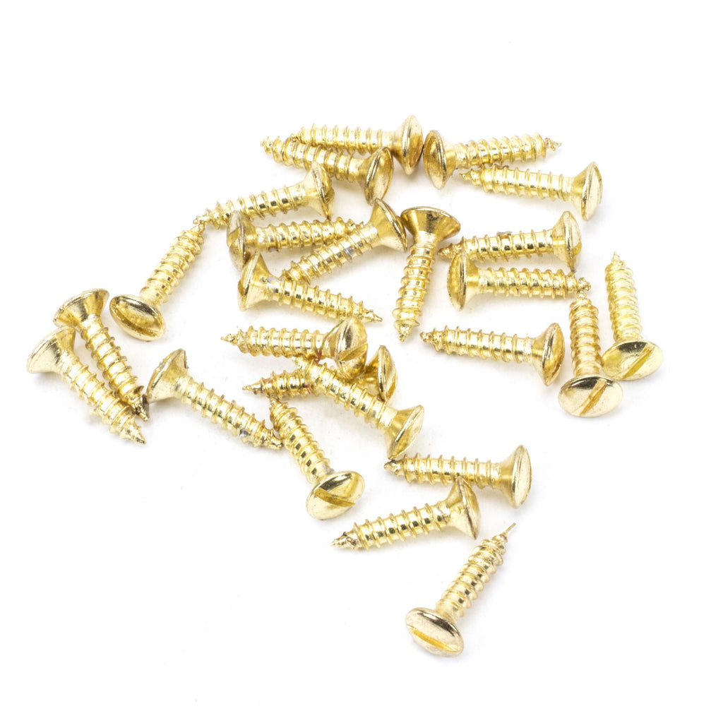 From The Anvil's Polished Brass Countersunk Raised Head Screws (25)