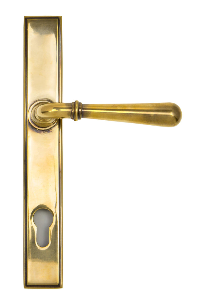 From The Anvil's Aged Brass Newbury Slimline Lever Espag. Lock Set