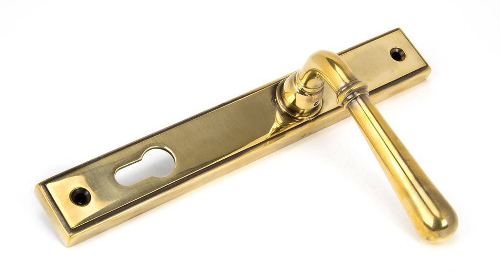 From The Anvil's Aged Brass Newbury Slimline Lever Espag. Lock Set