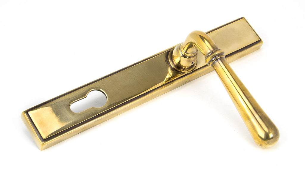 From The Anvil's Aged Brass Newbury Slimline Lever Espag. Lock Set