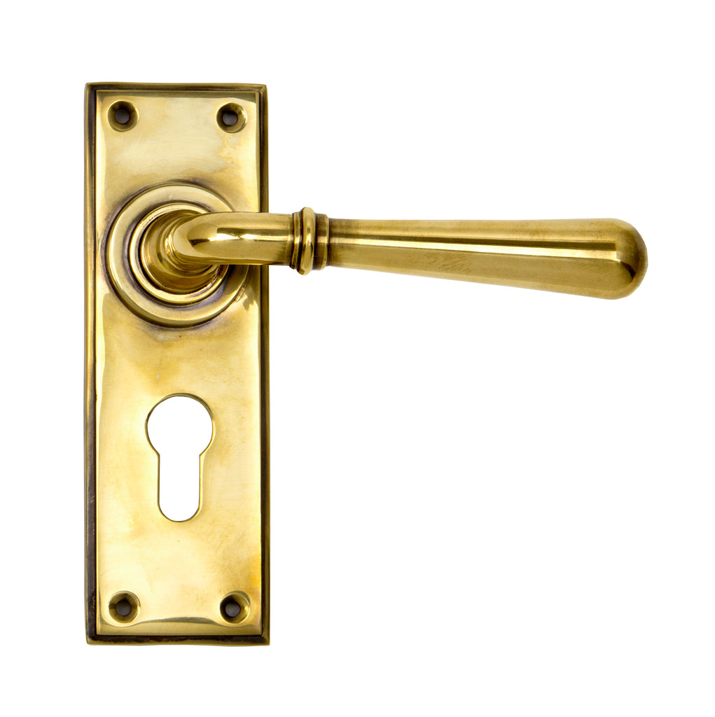 From The Anvil's Aged Brass Newbury Lever Euro Lock Set