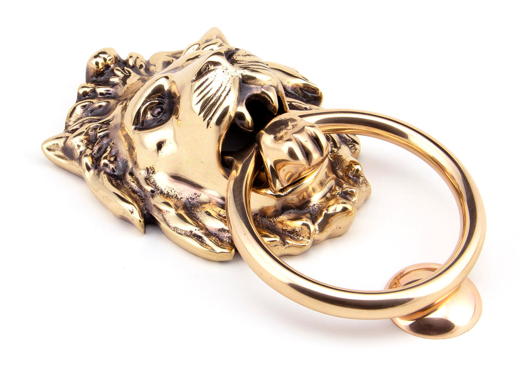 From The Anvil's Polished Bronze Lion's Head Door Knocker