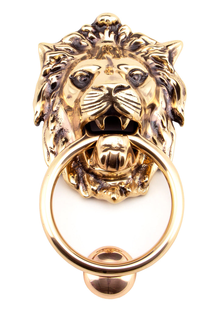 From The Anvil's Polished Bronze Lion's Head Door Knocker